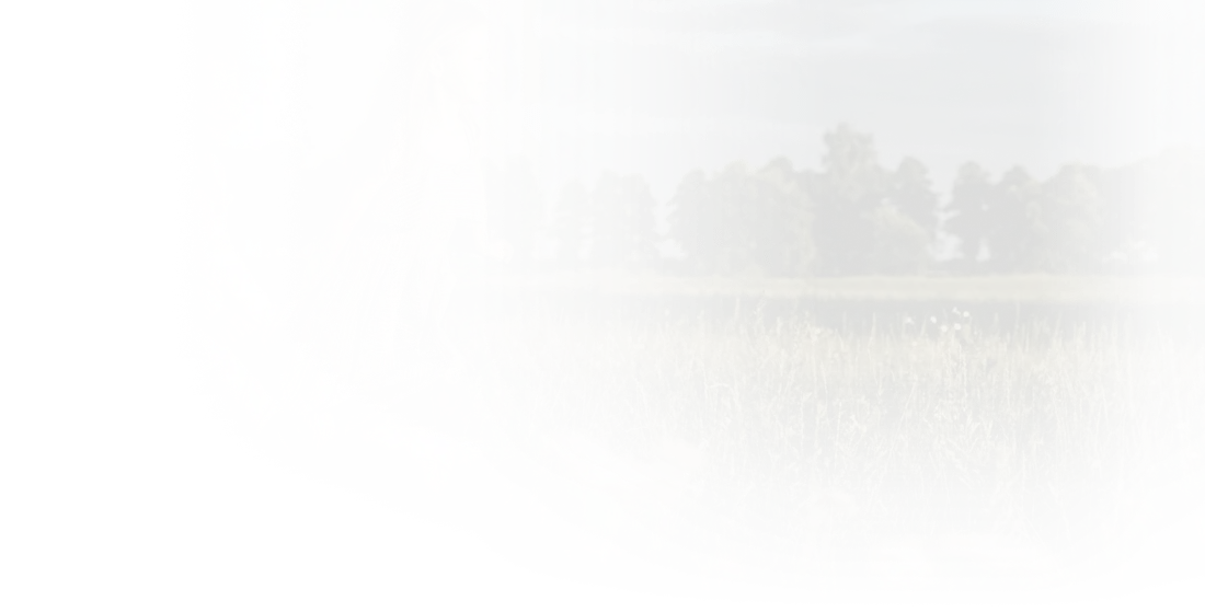 UKS Alfa wspiera rozwój dzieci na terenie Gminy Wilkowice